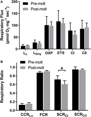 Changes in Northern Elephant Seal Skeletal Muscle Following Thirty Days of Fasting and Reduced Activity